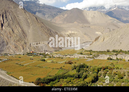 Paesaggio , Kagbeni , Tashi Kang , Nepal , Repubblica Democratica del Nepal , Asia meridionale , Asia Foto Stock