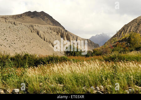 Paesaggio , Kagbeni , Tashi Kang , Nepal , Repubblica Democratica del Nepal , Asia meridionale , Asia Foto Stock