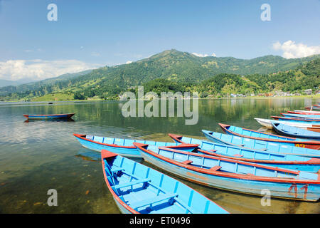 Barche a Phewa Lake , Pokhara , Gandaki Pradesh , Nepal , Repubblica Democratica del Nepal , Asia meridionale , Asia Foto Stock