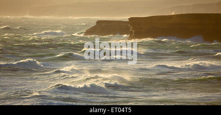 Nel tardo pomeriggio la luce sul ruvido e onde di mare al largo della Great Ocean Road costa, Victoria, Australia Foto Stock