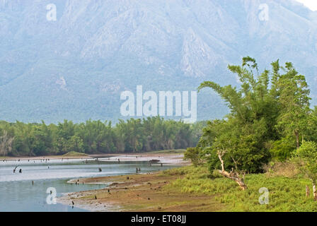 Lago Pykara ; Udhagamandalam Ooty ; Tamil Nadu ; India Foto Stock