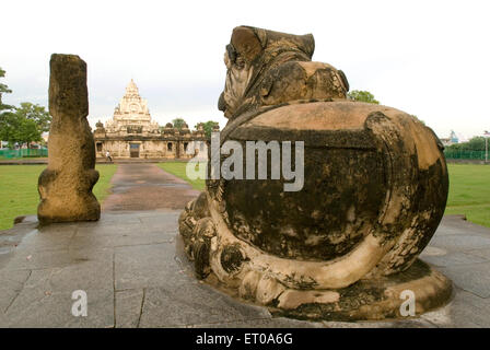 Nandi nella parte anteriore del tempio Kailasanatha in arenarie re Pallava Narasimhavarman figlio Mahendra Kanchipuram ; Tamil Nadu Foto Stock