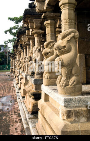 Yali pilastri ; Kailasanatha temple di arenarie re Pallava Narasimhavarman Mahendra otto secolo in Kanchipuram ; Tamil Nadu Foto Stock