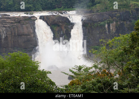 Cascate di Athirappally, le cascate di Athirappilly, Chalakudy River, Chalakkudy, Chalakudy Taluk, Thrissur District, Kerala, India, Asia Foto Stock