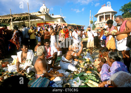 Rituali in agni tirtha durante il thai amavasa giorno ; Rameswaram Rameshvaram ; Tamil Nadu ; India Foto Stock