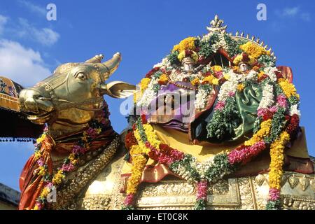 Divinità Urchava ramanthaswamy con la sua consorte parvathavardini su rishaba durante il thai festival amavasa Rameswaram in Tamil Nadu Foto Stock