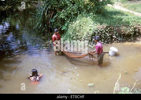 Pesca in acque profonde , Kuttanad ; Alappuzha , Alleppey ; Kerala ; India , asia Foto Stock