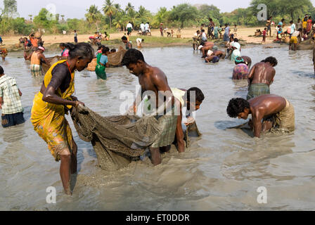 Festa della pesca ; Ponnamaravathy ; PUDUKKOTTAI ; Tamil Nadu ; India ; Asia ; MR 777A Foto Stock