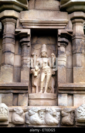 Ardhanarishvara con bull sul muro del tempio Brihadeshwara ; Gangaikonda Cholapuram ; Tamil Nadu ; India Foto Stock