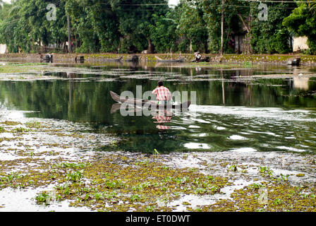 Backwaters, Kuttanad, Aleppey, Alappuzha, Kerala, India, Asia Foto Stock