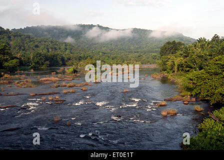 Fiume Chalakudy, fiume Chalakkudy, fiume Chalakkudi, Chalakudy Puzha, Foresta di Vazhachal, Chalakudy, Kerala, India, Asia Foto Stock