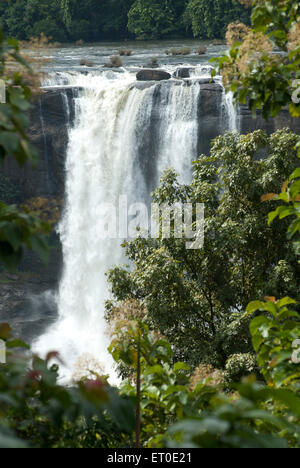 Cascate di Athirappilly, cascate di Athirappilly, cascate di Athirapally, Chalakudy, Thrissur, Trichur, Kerala, India, Asia Foto Stock