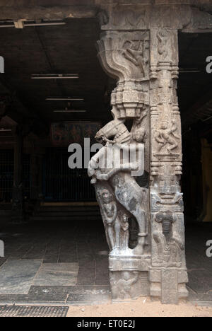 Warrior su statue di cavalli a thiyagaraja swamy temple ; Thiruvotriyur ; Madras Chennai ; Tamil Nadu ; India Foto Stock