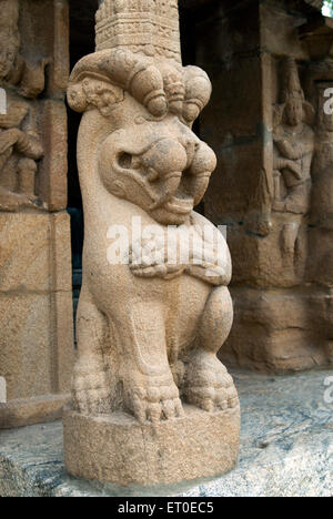 Leone scultura pilastro, Kailasanathar Tempio, Kanchipuram, Kanchi, Kancheepuram, Tamil Nadu, India, Asia Foto Stock