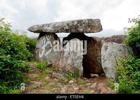 Dolmen megalitici o Muniyaras a Kovilkadavu ; Kudakkallu ; Muniyara Dolmen ; pietra dell'ombrello ; Marayoor ; Munnar ; Kerala ; India ; Asia Foto Stock