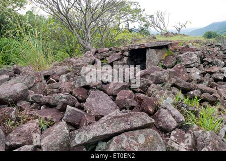 I dolmen megalitici o muniyaras a kovilkadavu ; Kerala ; India Foto Stock