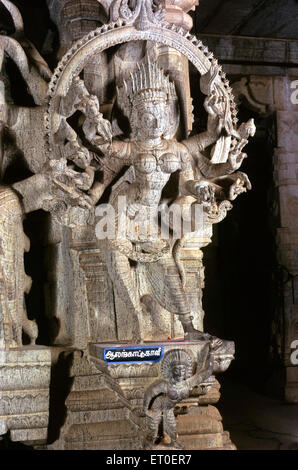 Statua della dea Kali Mata, Tempio di Nemam, Chettinad, Chettinadu, Pudukottai, distretto di Sivaganga, Tamil Nadu, India, Asia Foto Stock