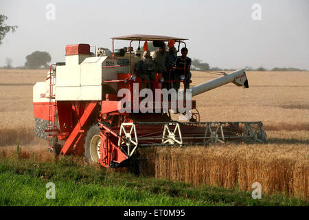 Macchina mietitrebbiatrice essendo azionato da un gruppo di agricoltori la mietitura del grano dorati in campi di Bhopal ; Madhya Pradesh ; India Foto Stock
