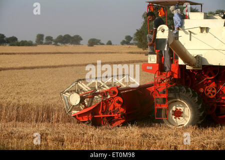 Macchina mietitrebbiatrice essendo azionato da un gruppo di agricoltori la mietitura del grano dorati in campi di Bhopal ; Madhya Pradesh ; India Foto Stock