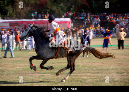 Nihang o guerriero Sikh eseguono acrobazie a cavallo durante la hola Mohalla celebrazione presso Anandpur sahib Foto Stock