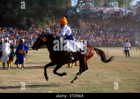 Nihang o guerriero Sikh eseguono acrobazie a cavallo durante la hola Mohalla celebrazione presso Anandpur Foto Stock