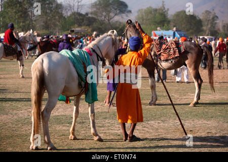Nihangs o guerrieri Sikh con i cavalli durante la hola Mohalla celebrazione presso Anandpur sahib nel distretto di Rupnagar ; Punjab ; India Foto Stock