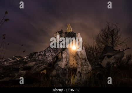 Albero bruciato - notte di luna piena,stelle e mystyc sullo sfondo del paesaggio Foto Stock