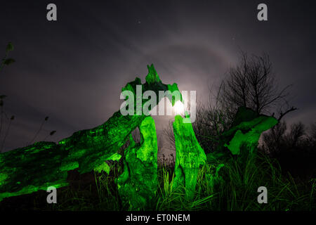 Albero bruciato -in luce verde durante la notte di luna piena,stelle e mystyc sullo sfondo del paesaggio Foto Stock