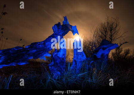 Albero bruciato -in luce blu durante la notte di luna piena,stelle e mystyc sullo sfondo del paesaggio Foto Stock