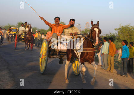 Corse di cavalli, fiera di Pushkar, fiera dei cammelli, Kartik Mela, Pushkar Mela, Pushkar, Ajmer, Rajasthan, India, fiere indiane Foto Stock