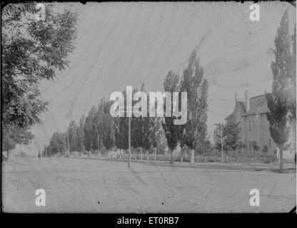 Foto non identificato probabilmente preso da Margaret Godfrey Jarvis Overson (b. 22 novembre 1878, San Giorgio, Washington, Utah Territorio, d. 8 dicembre 1968, Phoenix, Maricopa, Arizona) nella St. Johns, Apache County, Arizona nei primi anni del novecento Foto Stock