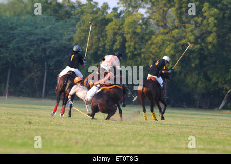 Polo di cavallo ; Jodhpur ; Rajasthan ; India Foto Stock