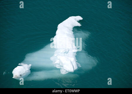 Formazioni di ghiaccio in mare Menden hall glacier ; Alaska ; Stati Uniti Stati Uniti d'America Foto Stock