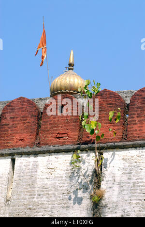 albero di bodhi, albero di pippala, albero di peepul, albero di peepal, albero di pipelal, Albero di ashvattha, Shree Devdeveshwar tempio muro, Parvati collina, Pune, Maharashtra, India Foto Stock