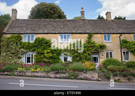 Fiori da Giardino nella parte anteriore di un cottage a Bourton sulla collina, Cotswolds, Gloucestershire, Inghilterra Foto Stock