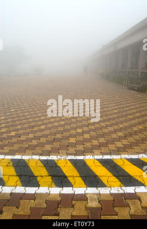 Pavimenti in nebbia a Malshej Ghat ; Maharashtra ; India ; Asia Foto Stock