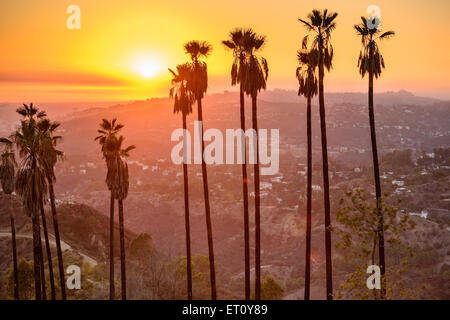 Griffith Park, Los Angeles, California, USA. Foto Stock