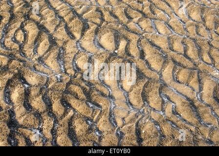 Modello di formulario di sabbia a causa delle onde del mare e le piccole sfere creato dai granchi alla spiaggia Kalamb ; Bassein Vasai ; District Thane Foto Stock