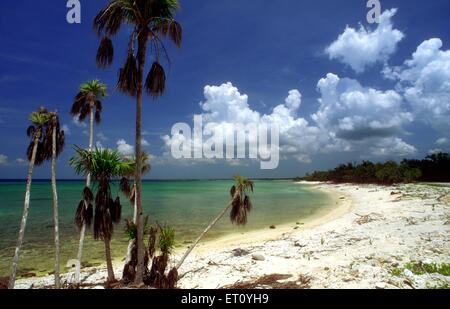 Sabbia bianca in Maria la Gorda beach. Località balneare di Maria La Gorda nella provincia di Pinar del Rio di Cuba, West Indies. Foto Stock