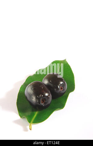Frutti ; blackberry jamun sulla lamina eugenia jambolana Foto Stock