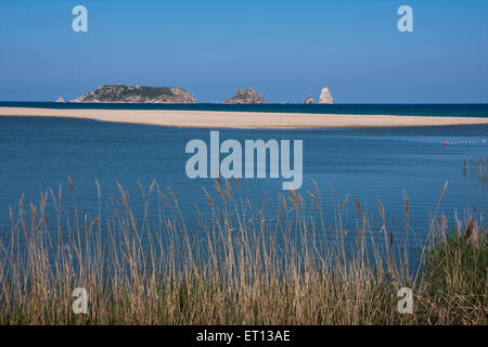 Foce del fiume Ter. Gola del ter. Isole Medes. Torroella de Montgri Foto Stock