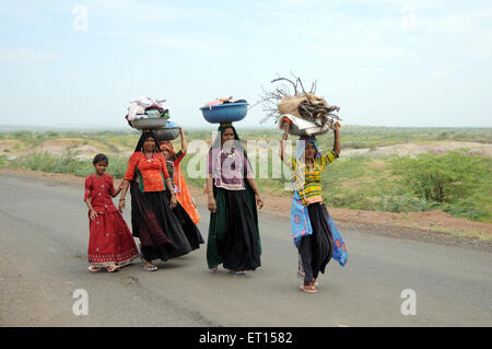 Rurali le donne tribali in abito tradizionale che trasportano legna da ardere; Mandvi ; ; Kutch Gujarat ; India Foto Stock