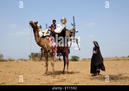 Gypsy donna tribale che trasportano cosa domestico e ragazzo sul cammello ; ; Kutch Gujarat ; India Foto Stock