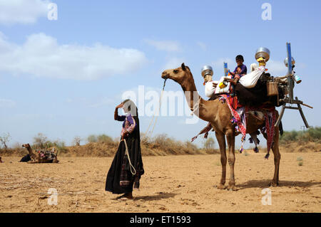 Gypsy donna tribale che trasportano cosa domestico e ragazzo sul cammello ; ; Kutch Gujarat ; India Foto Stock