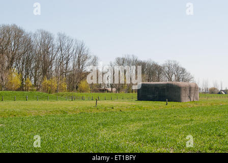 Bunker tedesco del tipo 501 dalla seconda guerra mondiale in farmfield nei Paesi Bassi nei pressi di Breskens Foto Stock