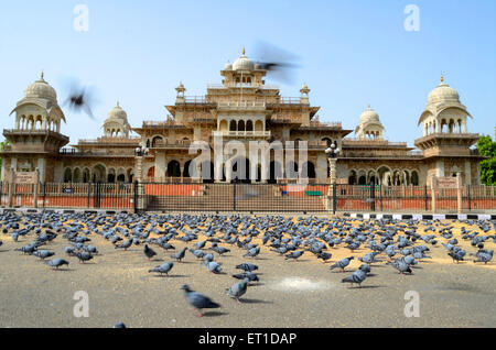 Albert Hall di Jaipur India Rajasthan Foto Stock