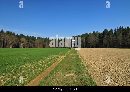 La torre della caccia in un campo Foto Stock