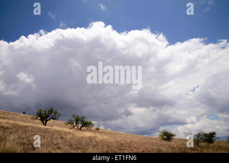 Le nuvole si muovono oltre le praterie in Santa Rita montagne, Foresta Nazionale di Coronado, a nord di Sonoita, Arizona, Stati Uniti. Foto Stock