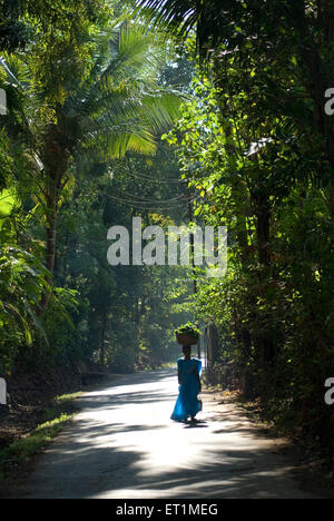 Anjarle ; Dapoli ; Ragnagiri ; Maharashtra ; India Foto Stock