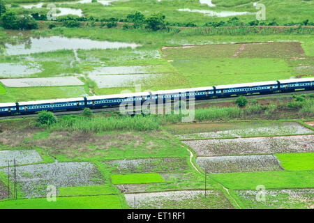 Konkan railway passando attraverso il risone campo ; Chiplun ; Ratnagiri ; Maharashtra ; India Foto Stock